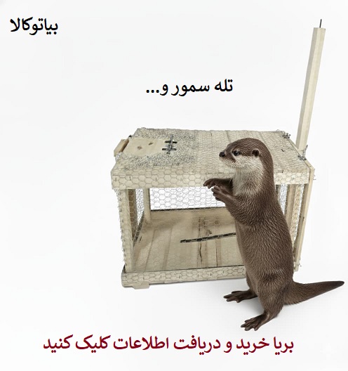 خرید تله روباه وسمور