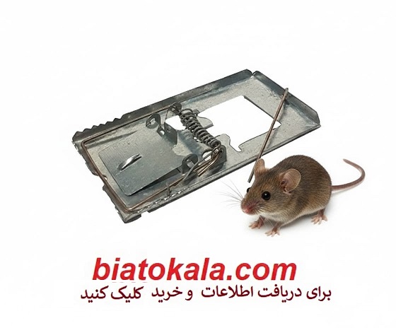 خرید تله موش