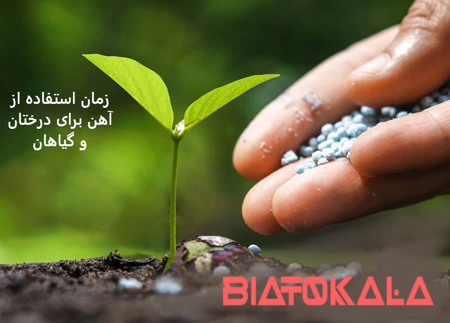 استفاده اهن برای درختان 