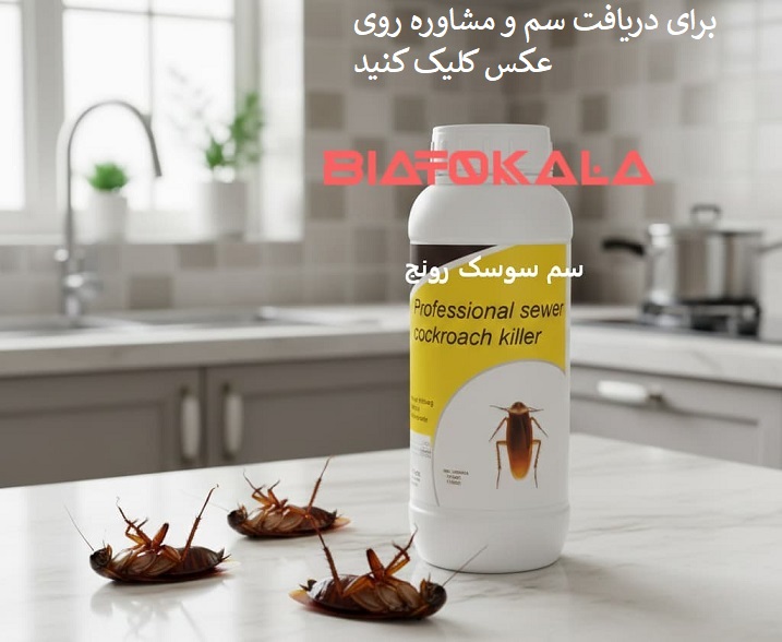 خرید سم سوسک رونج