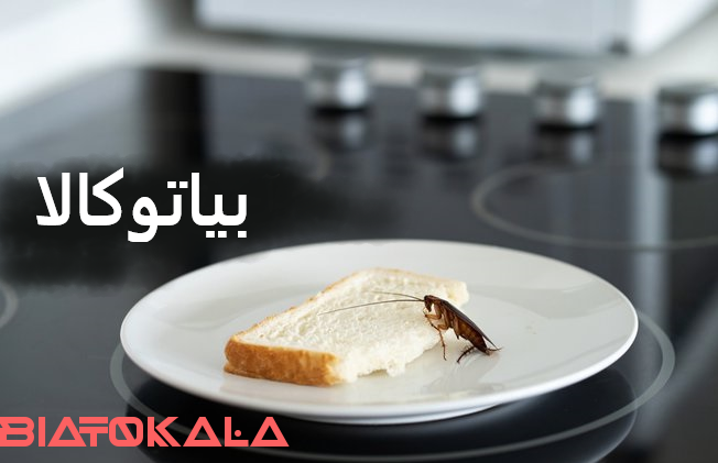 دفع سوسک از حمام