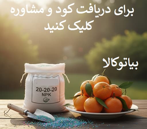 خرید کود 20 20 20 