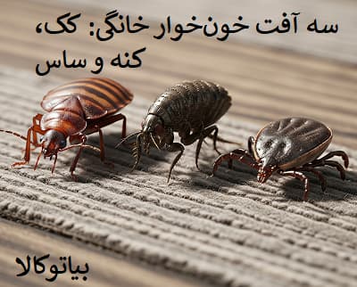 سه افت خونخوار خانگی