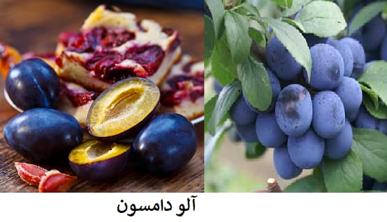 آلو دامسون