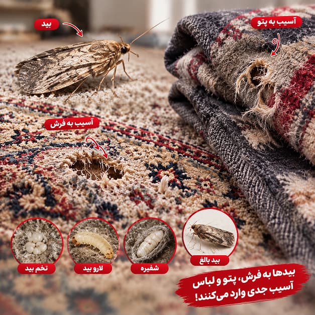 بید کش اصل