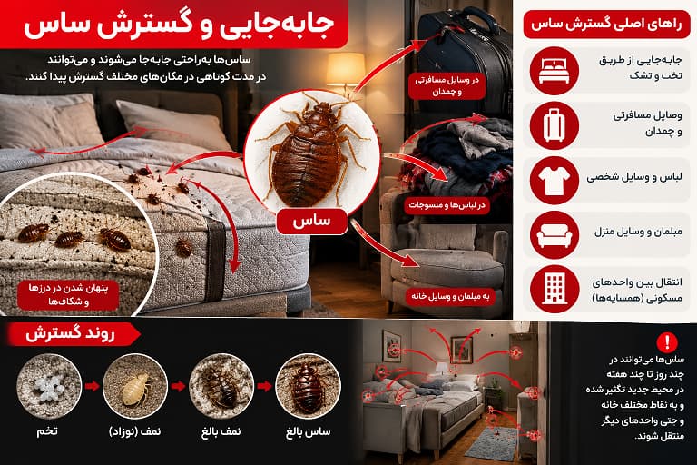 گسترش و تخم گذاری ساس