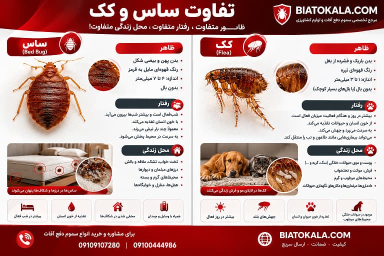 تفاوت ظاهری ساس و کک