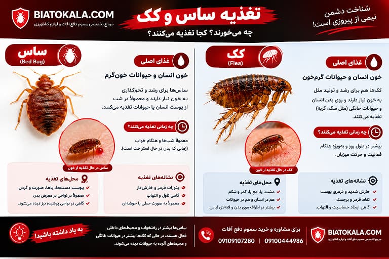 تغذیه ساس و کک