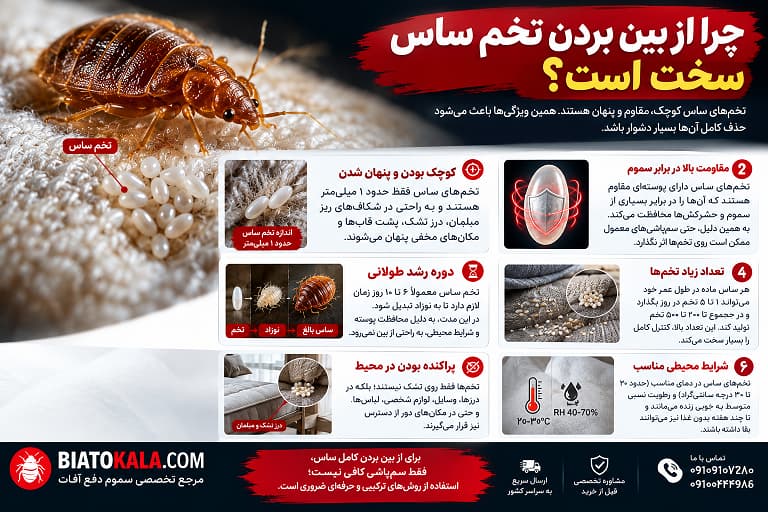از بین بردن تخم ساس