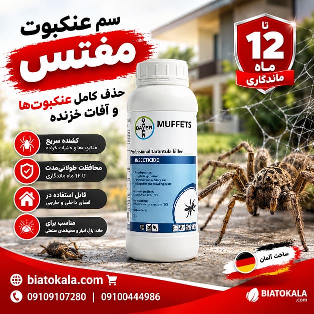 سم عنکبوت مفتس