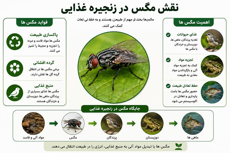 نقش مگس ها در طبیعت
