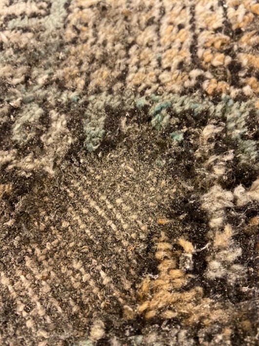 بهترین راهکار برای از بین بردن بید و شب‌پره همراه با حفظ سلامت فرش 9:42