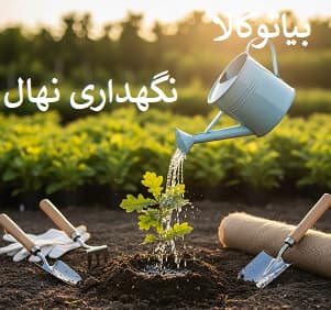 کاشت ابیاری و نگهداری نهال