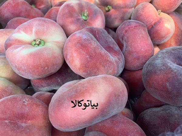 هرس حرفه ای درخت هلو انجیری