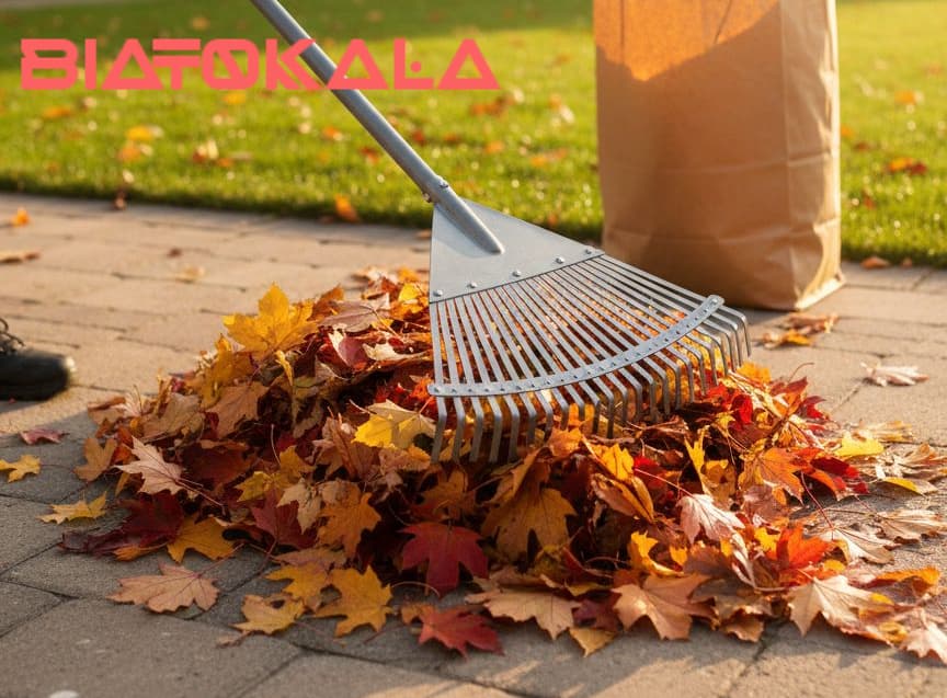 برگ جمع کن با کیفیت 