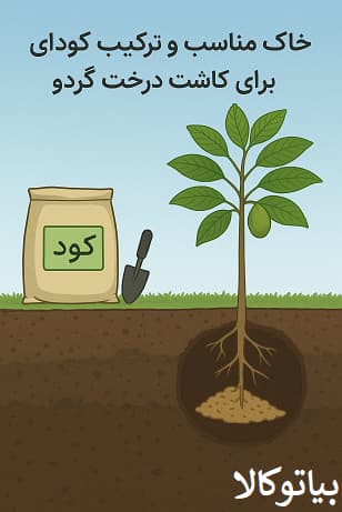 بهترین خاک مناسب برای کاشت گردو