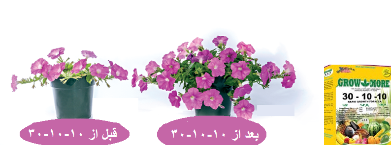 کود 10-10-30