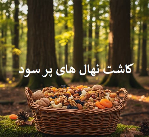 کاشت نهال پر سود 