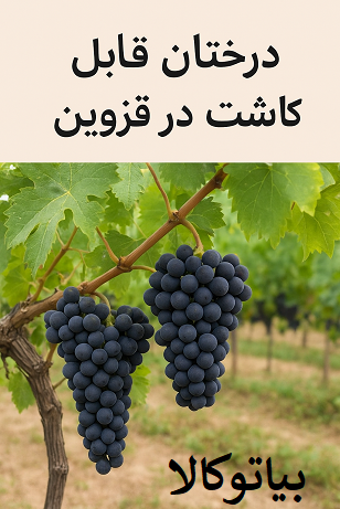کاشت درخت و نهال در قزوین