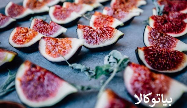 پرورش انجیر برای بازدهی و باردهی بیشتر