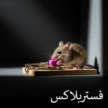 طعمه المانی