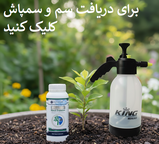 استفاده از روغن در زمستان
