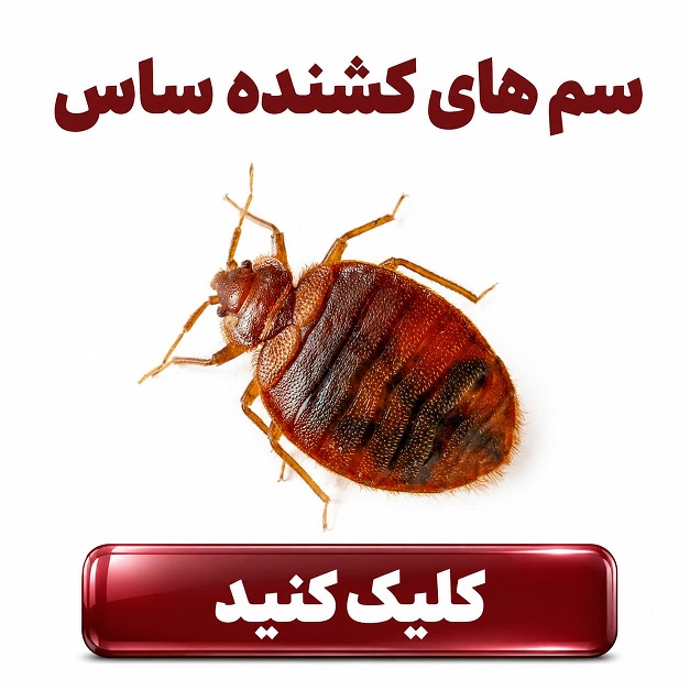 محصولات دفع ساس