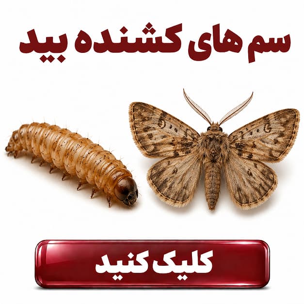 محصولات دفع  بید