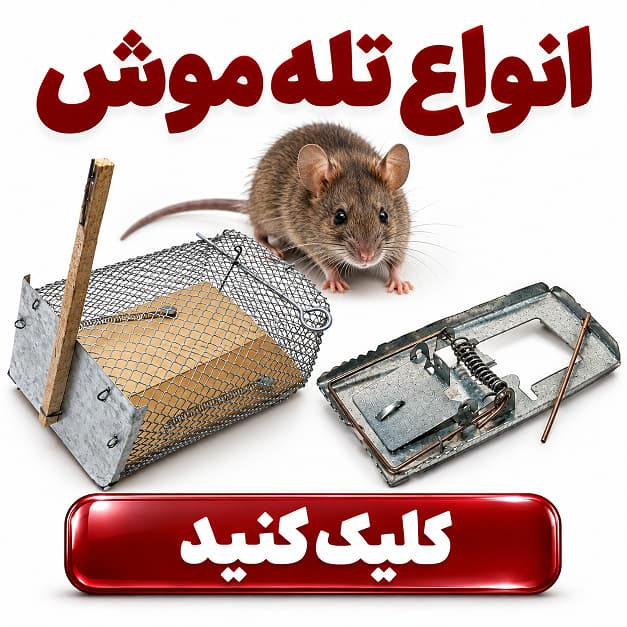 تله موش